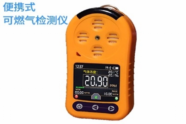 便攜式可燃氣體檢測儀都檢測什么氣體